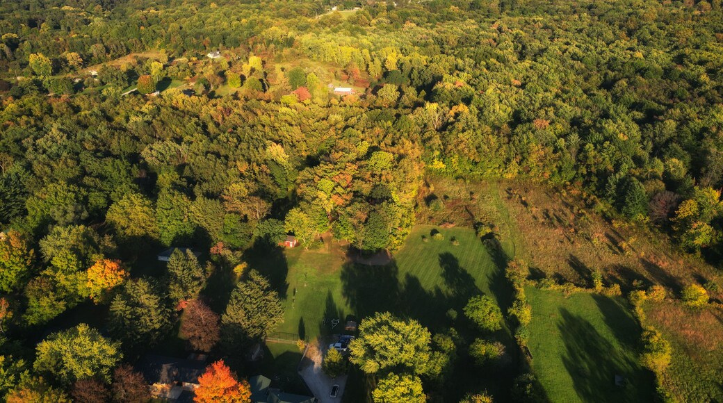 Aerial over a wooded area in Berrien Springs, in Berrien County, within the Oronoko Charter Township, Michigan, United States. A rural community with farms and lakeside and riverside properties.