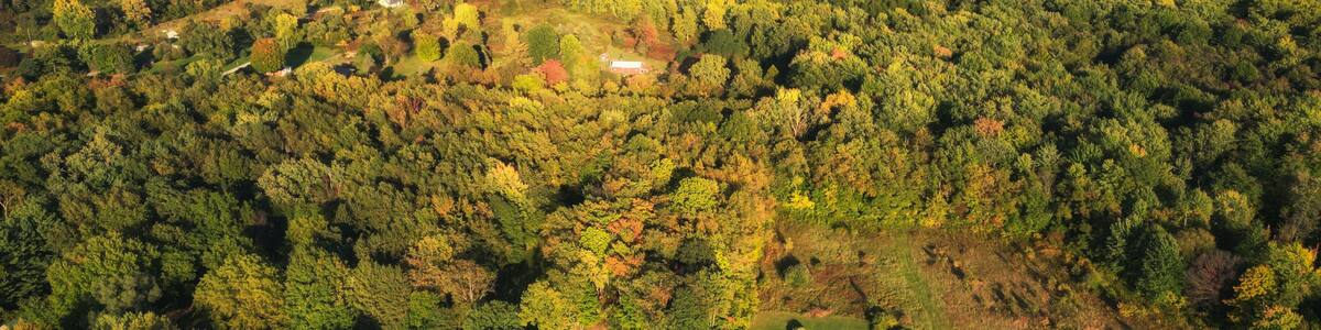 Aerial over a wooded area in Berrien Springs, in Berrien County, within the Oronoko Charter Township, Michigan, United States. A rural community with farms and lakeside and riverside properties.