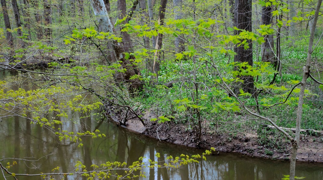 643-102 Spring Along the Galien River