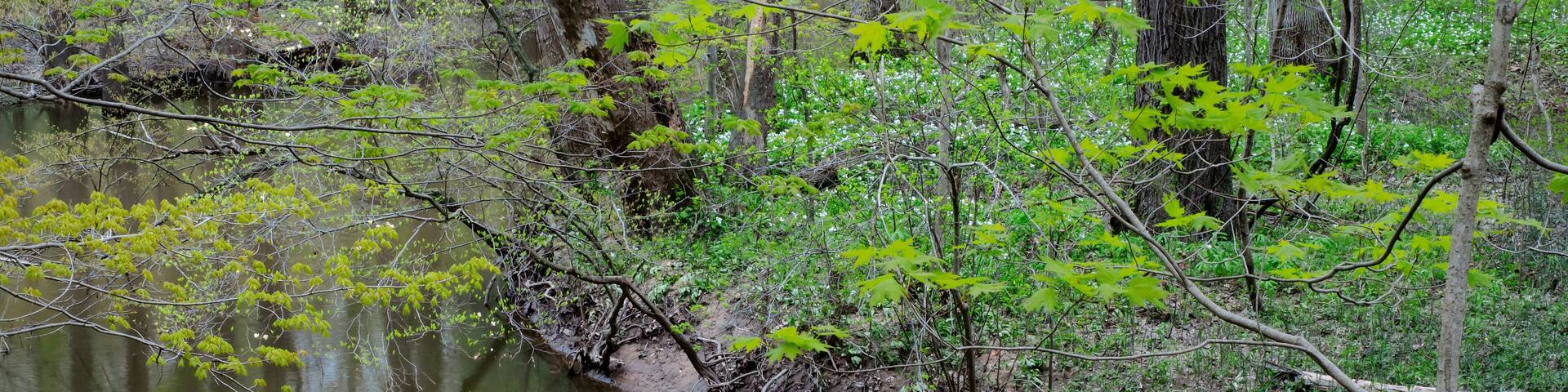 643-102 Spring Along the Galien River