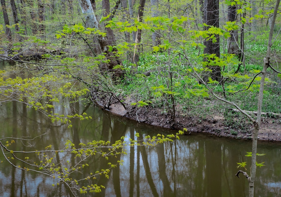 643-102 Spring Along the Galien River