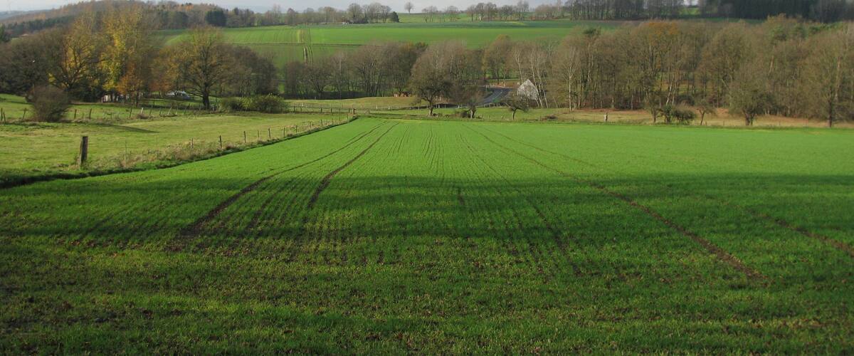 das Bachtal des Schwarzbachs, nordwestlich von Staufenberg-Nienhagen, hier als Teil des FFH-Gebiets 4623-331, Bachtäler im Kaufunger Wald