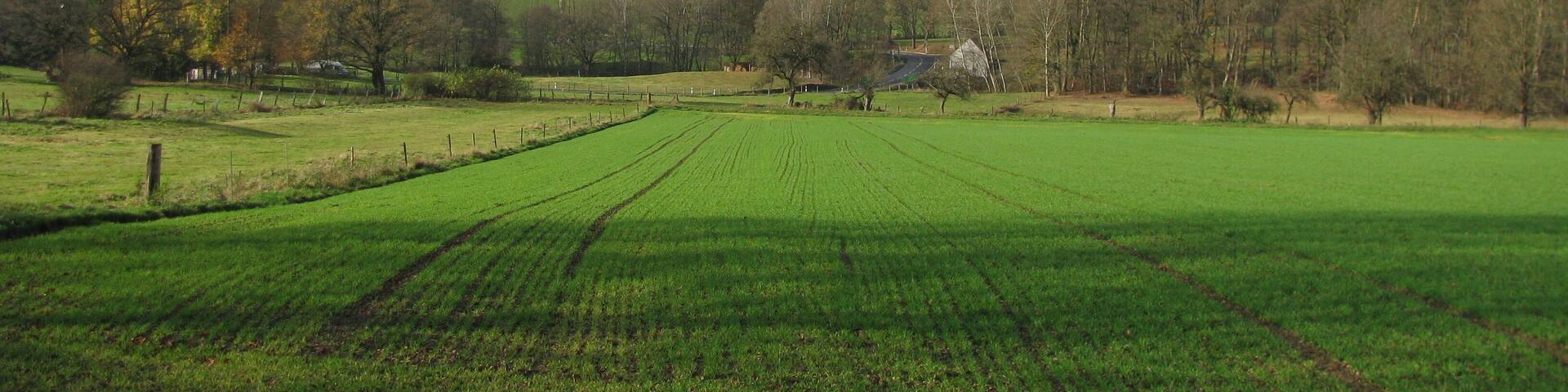 das Bachtal des Schwarzbachs, nordwestlich von Staufenberg-Nienhagen, hier als Teil des FFH-Gebiets 4623-331, Bachtäler im Kaufunger Wald