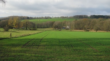 A rural landscape with green fields, trees, and wind turbines in the distance.