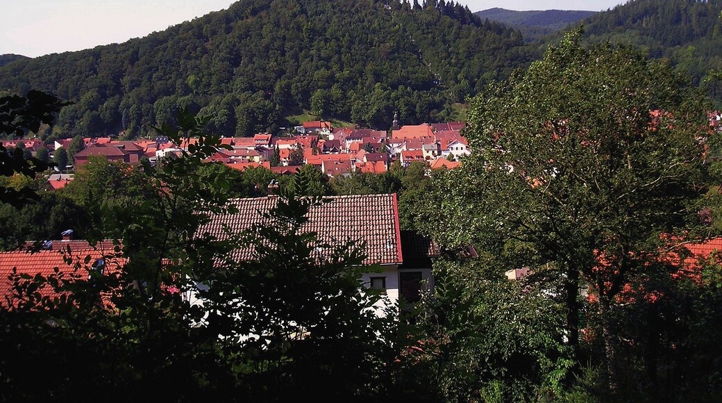 Blick auf den Hausberg mit Sessellift