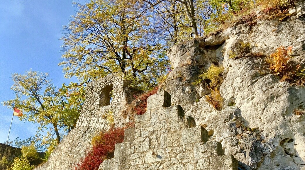 Diese Burgruine liegt oberhalb der Einhornhöhle. Ein kleiner Fußmarsch von ca. 1 Km.
Allerdings mit starken Höhenunterschied!!! Aber die tolle Aussicht Entschädigung alles!!!