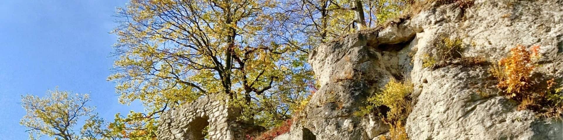 Diese Burgruine liegt oberhalb der Einhornhöhle. Ein kleiner FuĂmarsch von ca. 1 Km.
Allerdings mit starken Höhenunterschied!!! Aber die tolle Aussicht EntschÀdigung alles!!!