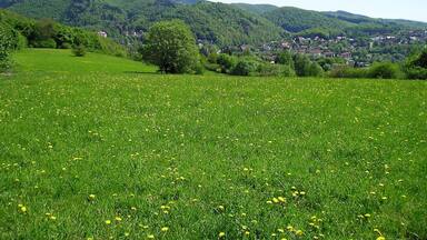 Heikenberg, Blick auf Bad Lauterberg