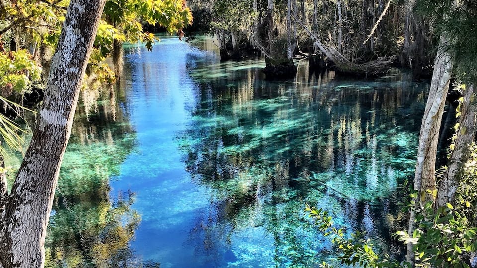 This is where wild manatees come to spend the winter months. You can even go swimming with them!