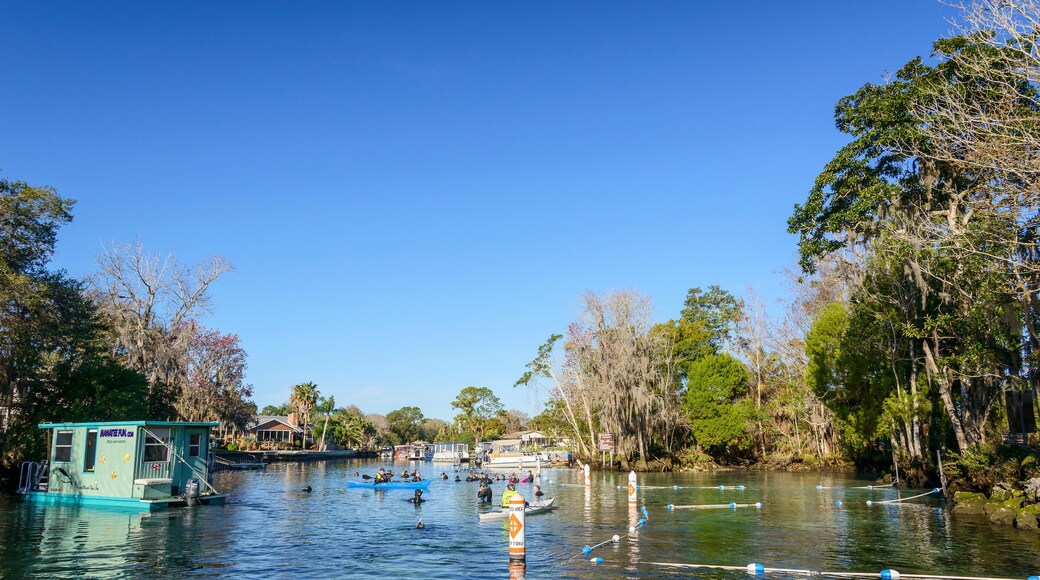 كريستال ريفر