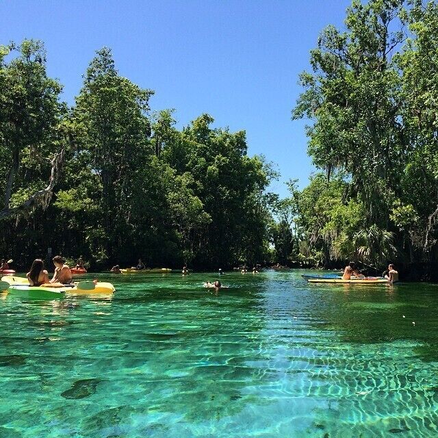 rented a kayak to see the Three Sisters Springs in Crystal River, great find!