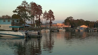 AM620E Crystal River harbour in Florida