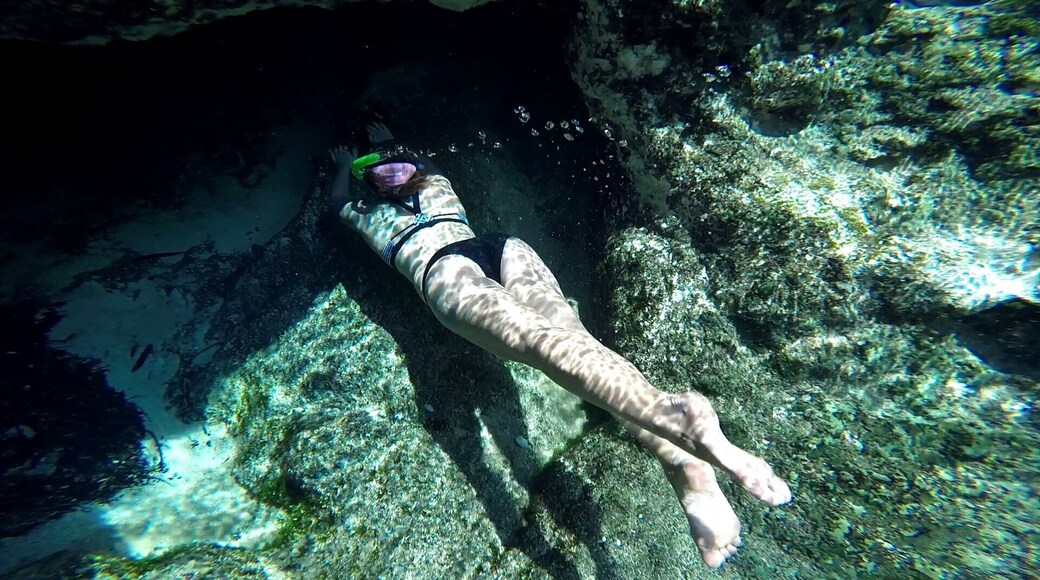 Swim throughs in the springs
#adventure #springs #kayaking