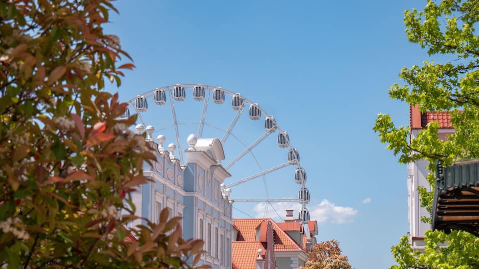 A Ferris wheel, a building with a red roof, and trees.