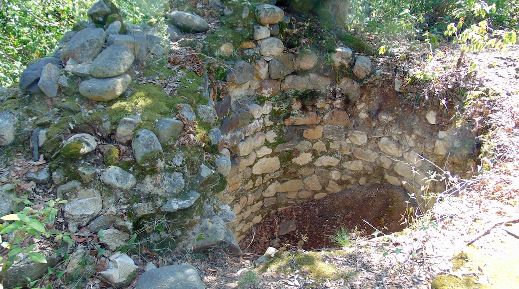 Castell Vell (Brunyola)