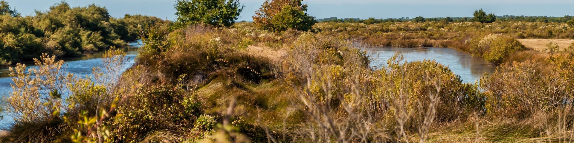 Audenge, Bassin d'Arcachon, Gironde, Nouvelle-Aquitaine, France.