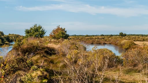 Audenge, Bassin d'Arcachon, Gironde, Nouvelle-Aquitaine, France.