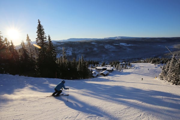 A skier on a snowy slope with a backdrop of evergreen trees and distant mountains under a clear sky.