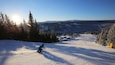 A skier on a snowy slope with a backdrop of evergreen trees and distant mountains under a clear sky.