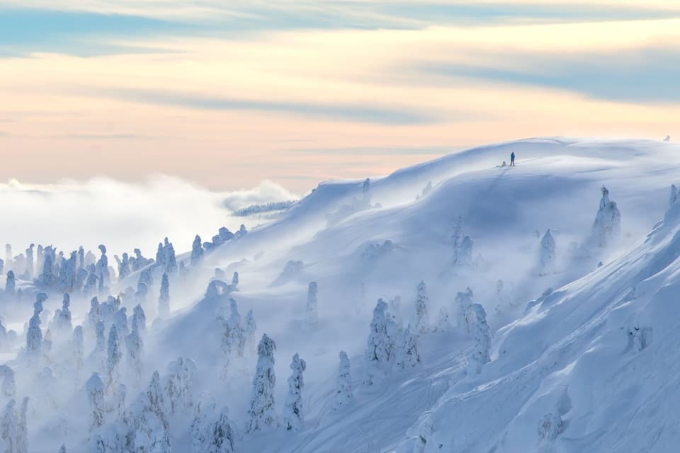 Un paysage montagneux enneigé, avec de vastes forêts et une personne debout sur une crête.