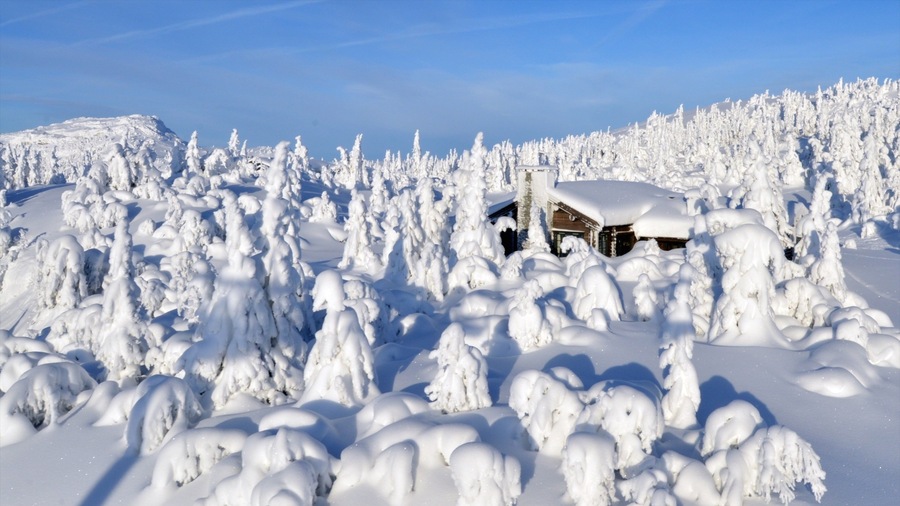 Kvitfjell showing a house and snow
