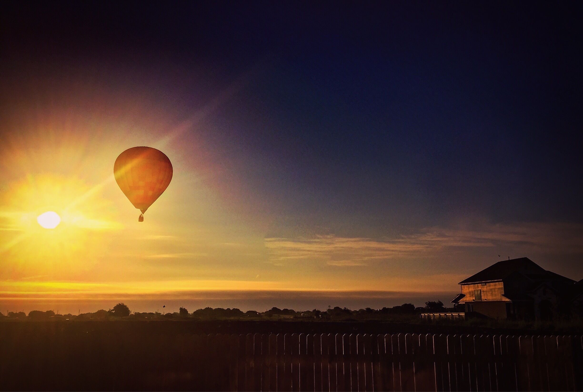 Morning surprise from my backyard