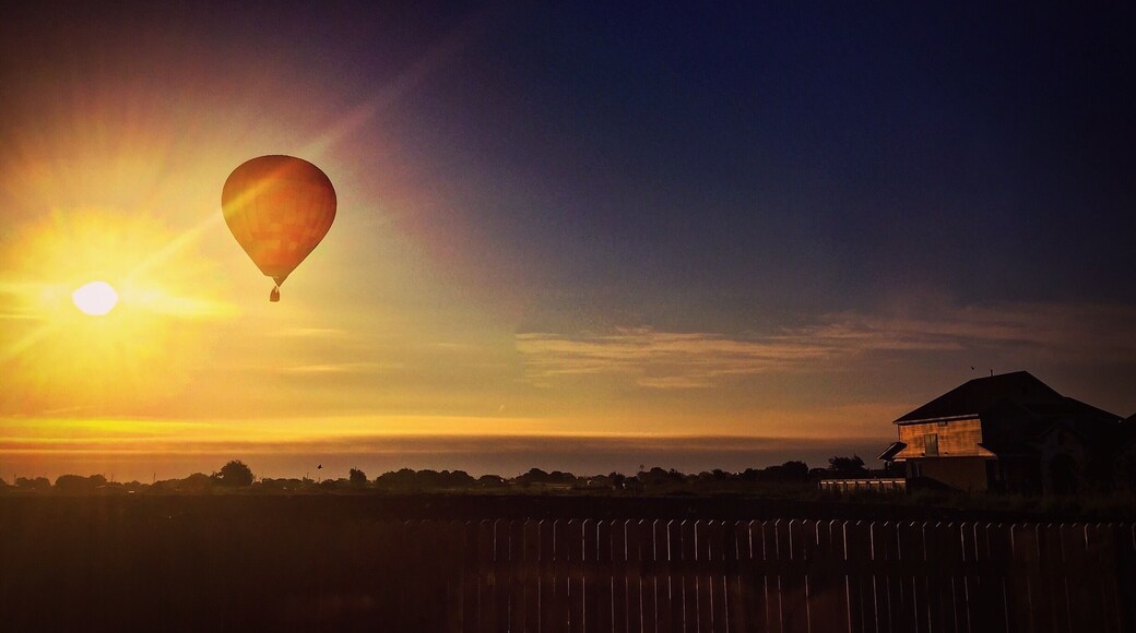 Morning surprise from my backyard