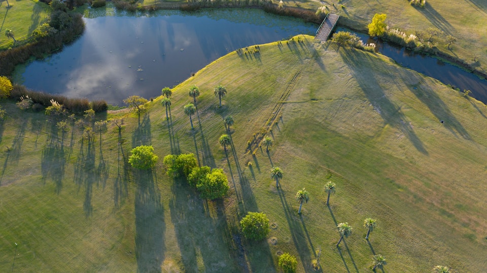 Drone view of a field with colorful trees and a beautiful surrounding nature