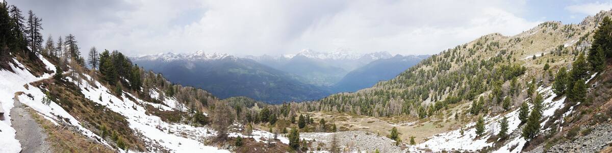A mountainous landscape with snow-covered slopes, dense forests, and distant snow-capped peaks.