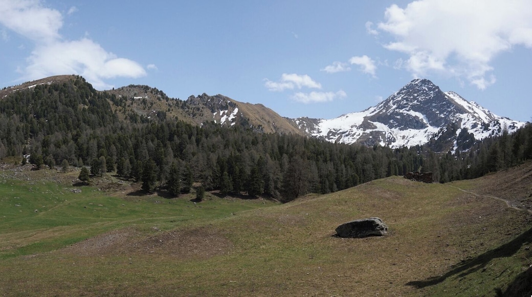Meadow on Italian Alps.