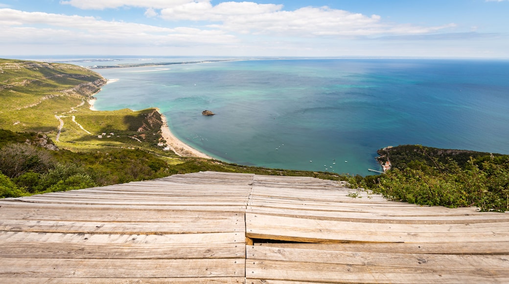 Paesaggio costiero con una passerella in legno, mare blu cristallino e costa sullo sfondo.