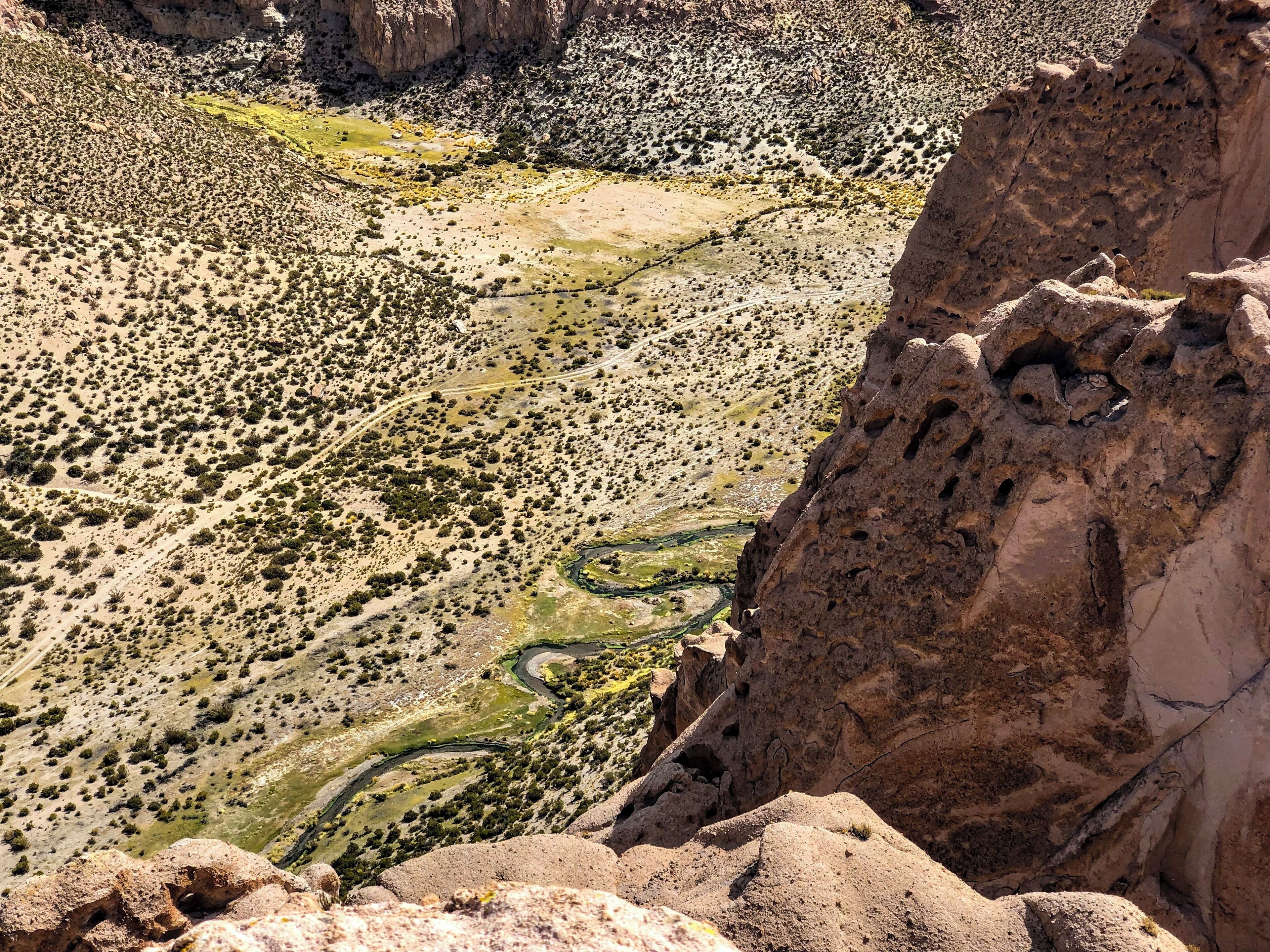 Anaconda canyon as they meant in English! 😄