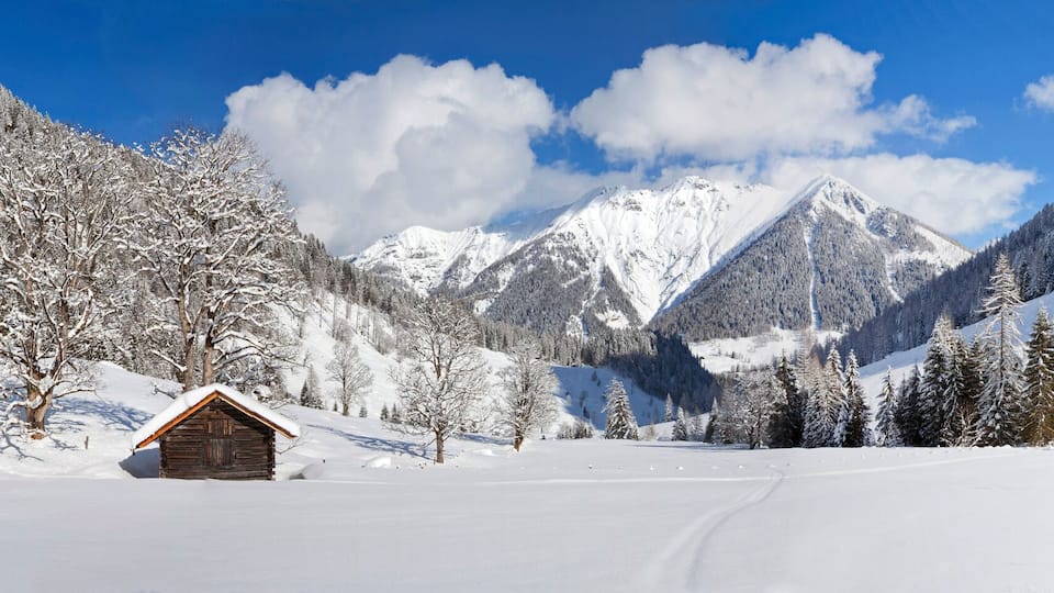Herrliches Winterpanorama auf der Alm in Flachauwinkl / Salzburger Land / Pongau / Flachau
