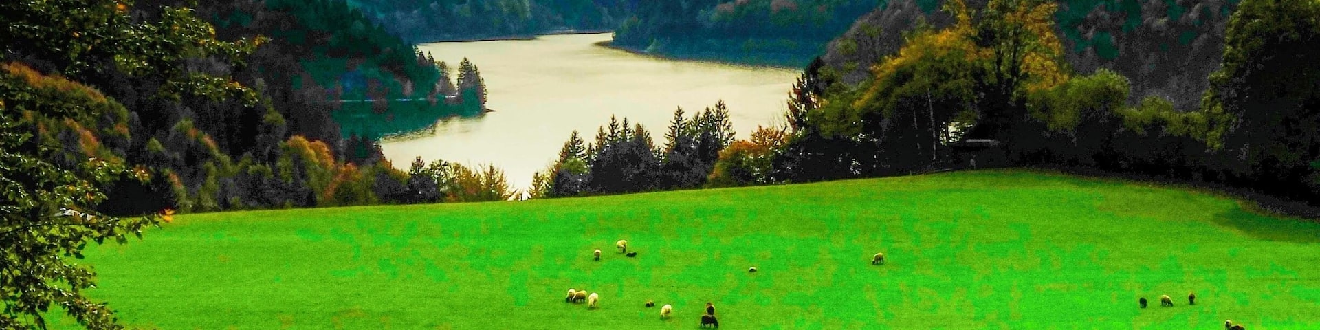 This is one of the beautiful landscape views I found while cycling the Salz & Seen Tour outside Salzburg,