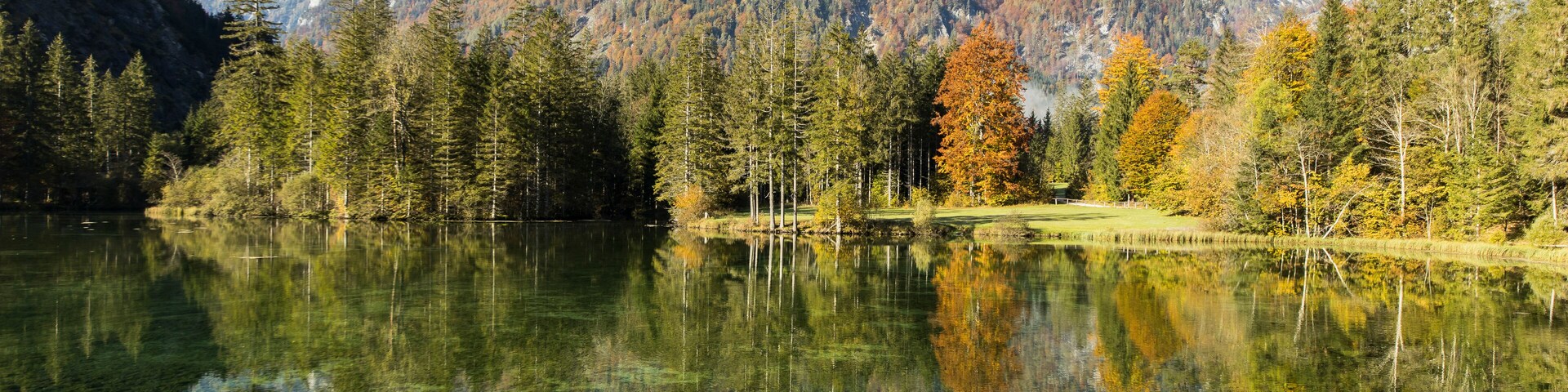 View of Schiederweiher lake with mountain reflection and autumn foliage, Hinterstoder, Upper Austria, Austria.