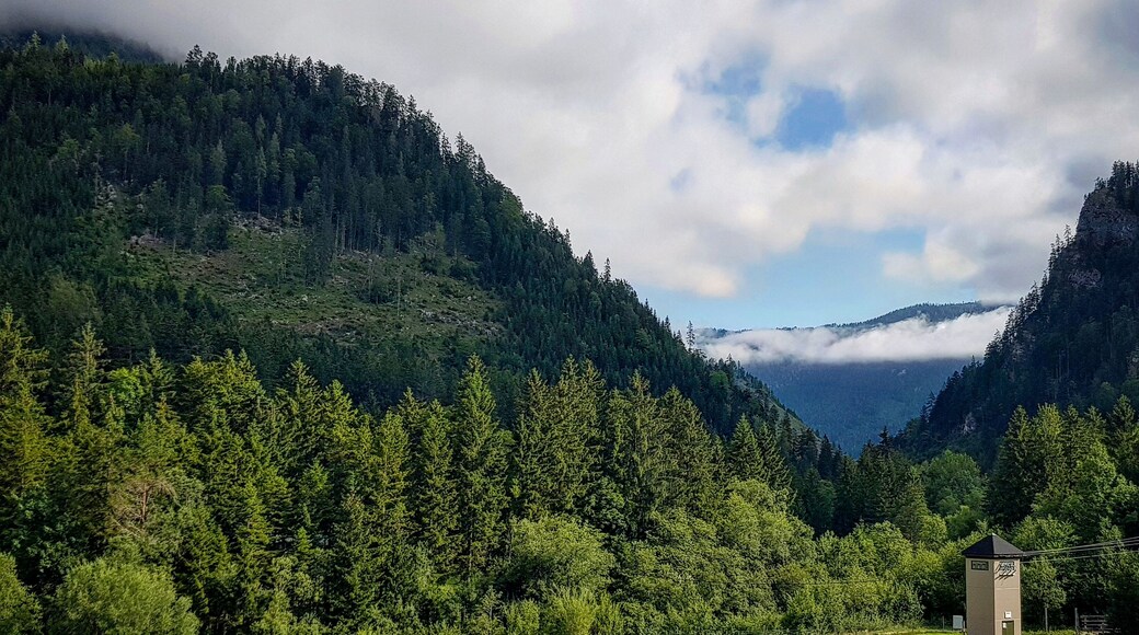 In the morning !!!!!