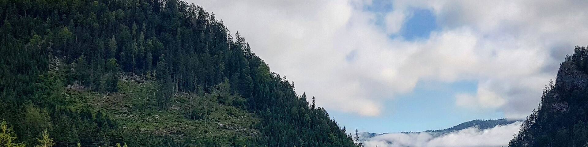 In the morning !!!!!