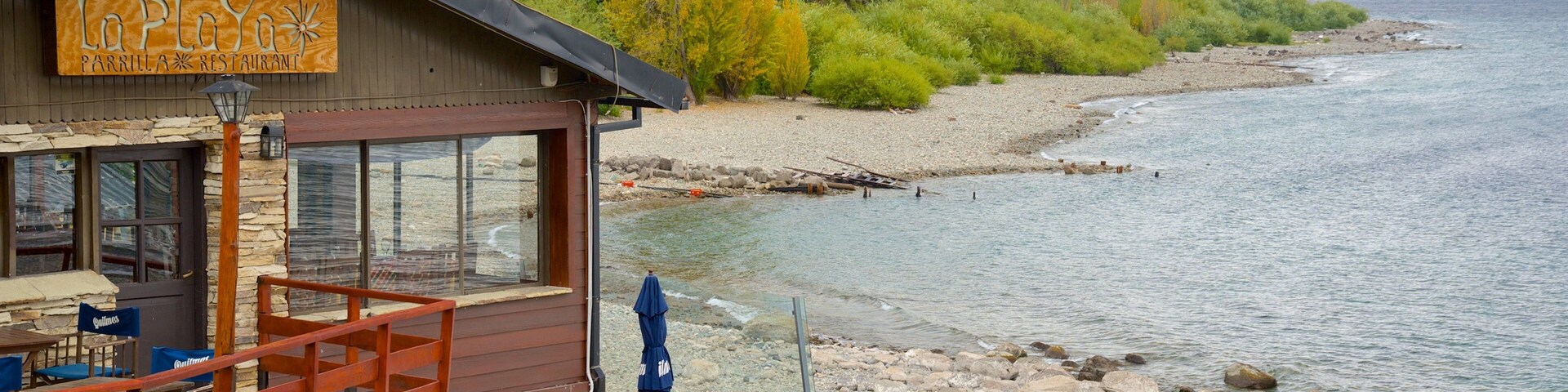 Región de la Patagonia ofreciendo una ciudad costera, imágenes de bosques y vista general a la costa