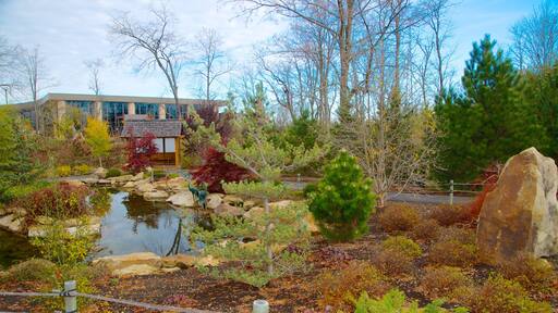 ์ฐฝ์กฐ ๋ฐ๋ฌผ๊ด ์ ํน์ง ํ๊ฒฝ ๊ณผ ์ฐ๋ชป