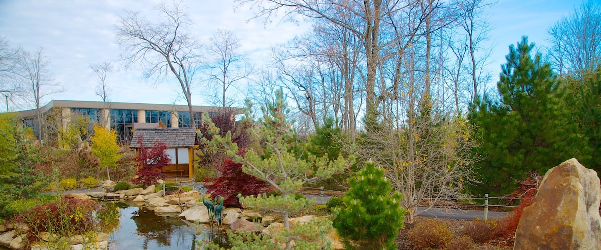 A landscaped garden with a pond, rocks, and trees.