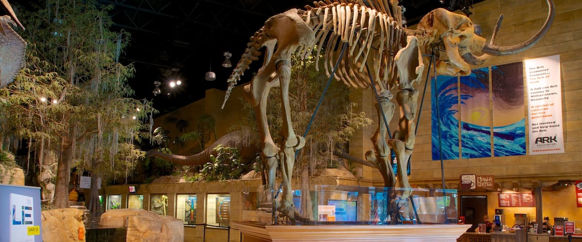 Une vaste exposition présentant le squelette d’un dinosaure dans un musée, agrémentée de panneaux d’information et comprenant un café.