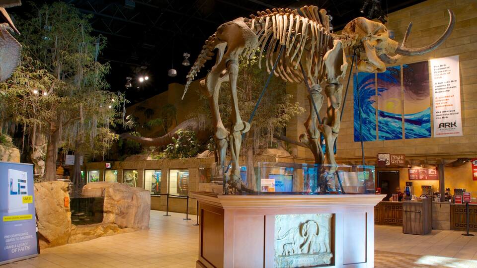 A large dinosaur skeleton exhibit in a museum with surrounding educational displays and a coffee shop.