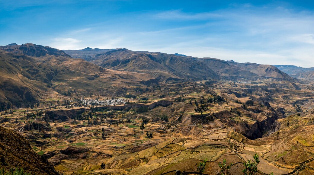 scenic terraces in the valley of cabanaconde in the andes of peru. scenic terraces in the valley of colca canyon in the andes of peru. mirador antahuilque nearby Madrigal.