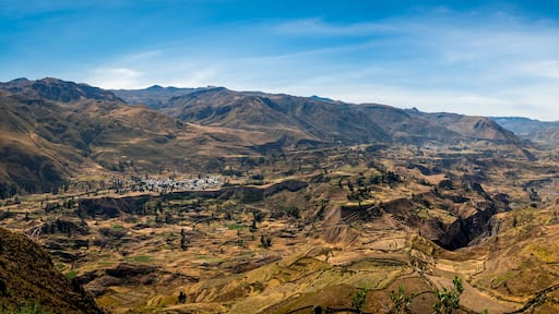 scenic terraces in the valley of cabanaconde in the andes of peru. scenic terraces in the valley of colca canyon in the andes of peru. mirador antahuilque nearby Madrigal.