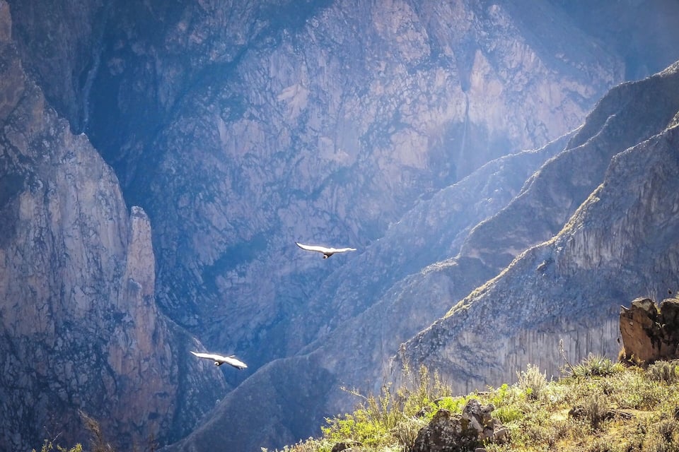 A canyon with steep cliffs and sparse vegetation.