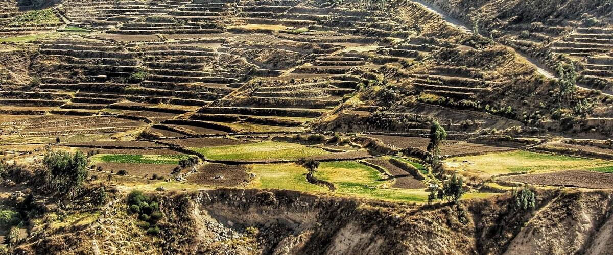 Ancient terraces, Colca Canyon Peru
#green