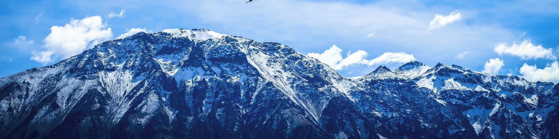 Colca Canyon Condors
