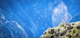 Colca Canyon Condors