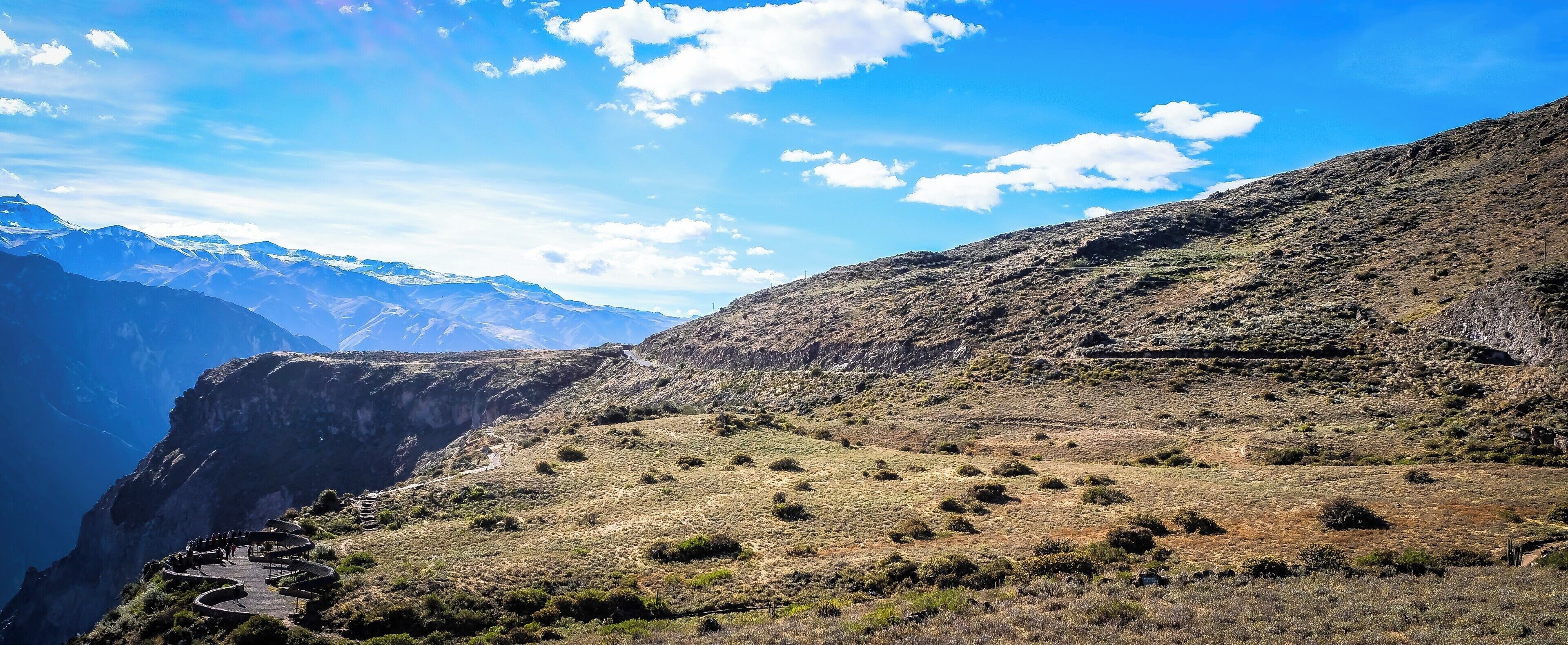 Colca Canyon Condors