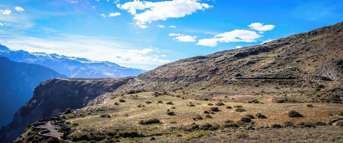 Colca Canyon Condors